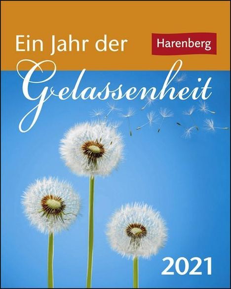 Ann Christin Artel: Artel, A: Ein Jahr der Gelassenheit 2021 Mini-Geschenkkal., Kalender