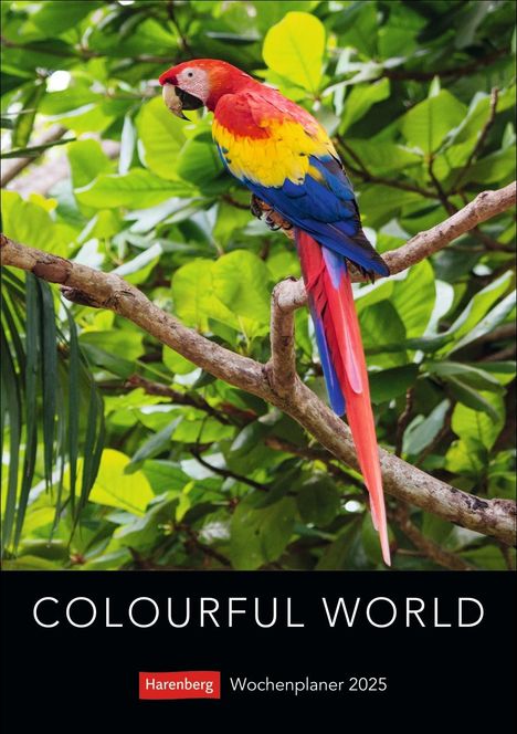 Colourful World Wochenplaner 2025, Kalender