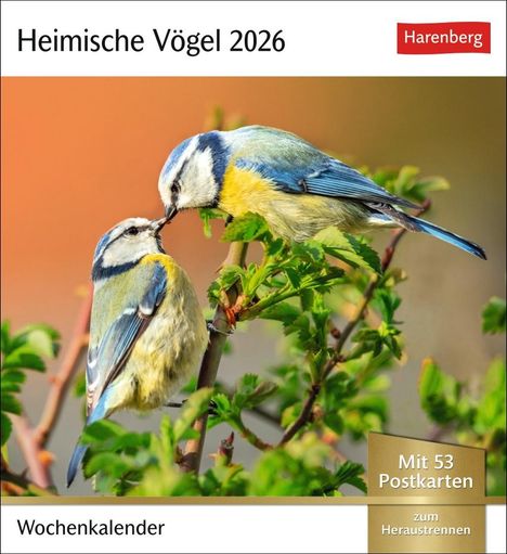 Heimische Vögel Postkartenkalender 2026 - Wochenkalender mit 53 Postkarten, Kalender