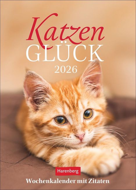 Katzenglück Wochenkalender 2026 - mit Zitaten, Kalender