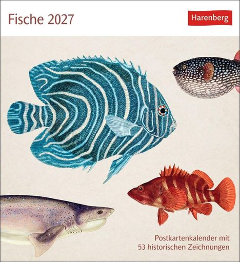 Text: "Fische 2027", "Postkartenkalender mit 53 historischen Zeichnungen", oben mehrere detaillierte Fischillustrationen.