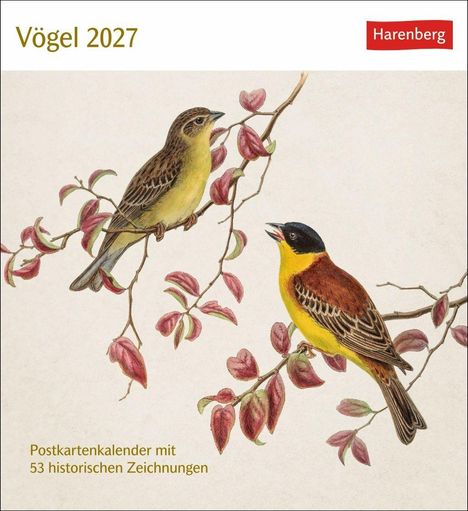 "Vögel 2027" und "Postkartenkalender mit 53 historischen Zeichnungen" auf hellem Hintergrund. Zwei Vögel auf Zweigen.
