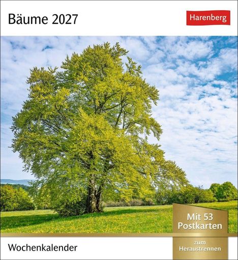 "Bäume 2027", "Wochenkalender", "Mit 53 Postkarten zum Heraustrennen". Ein großer Baum auf einer Wiese unter blauem Himmel.