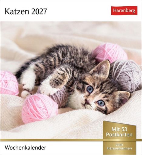 "Katzen 2027", "Wochenkalender", "Mit 53 Postkarten", "zum Heraustrennen". Ein Kätzchen spielt mit rosa Wollknäueln.