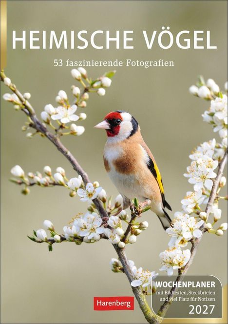 „HEIMISCHE VÖGEL“ und „53 faszinierende Fotografien“ mit einem farbenfrohen Vogel auf einem blühenden Ast.