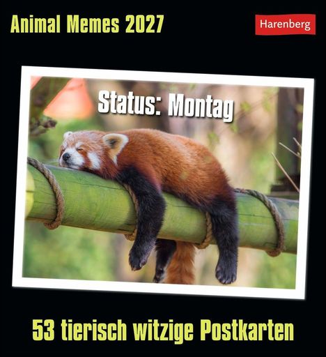 Text: "Animal Memes 2027", "Status: Montag", "53 tierisch witzige Postkarten". Ein roter Panda liegt entspannt auf einem Ast.