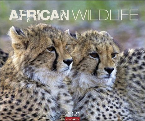 African Wildlife Kalender 2020, Diverse