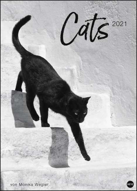 Cats Edition - Kalender 2020, Diverse