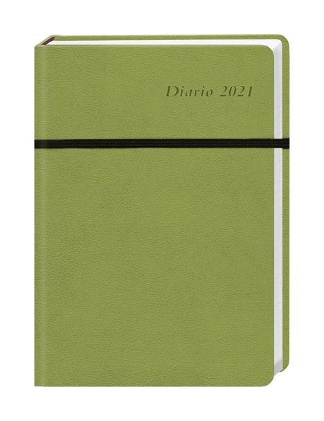Diario Wochen-Kalenderbuch A5, grün 2020, Buch