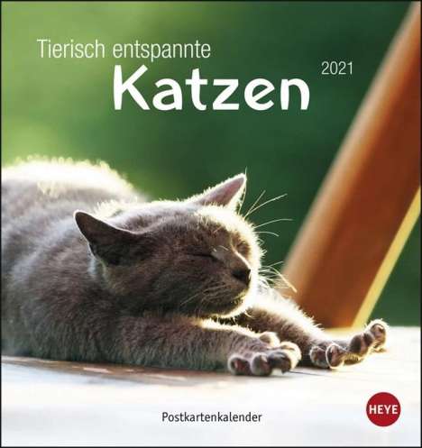 Tierisch entspannte Katzen Postkartenkalender 2020, Diverse