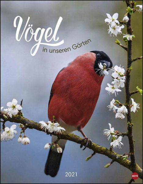 Vögel in unseren Gärten Posterkalender Kalender 2020, Diverse