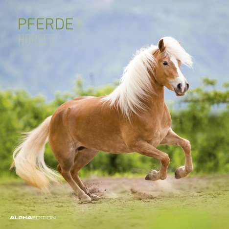 Pferde 2020 Broschürenkalender, Diverse