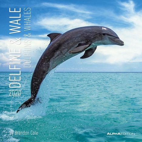 Brandon Cole: Delfine &amp; Wale 2020, Diverse