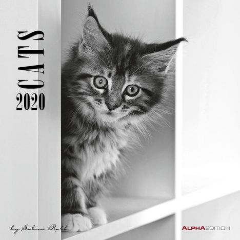 Cats 2020 Broschürenkalender, Diverse