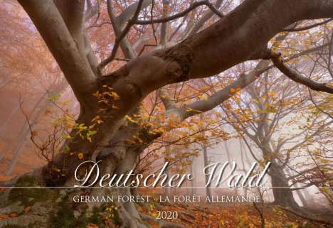 Deutscher Wald 2020, Diverse