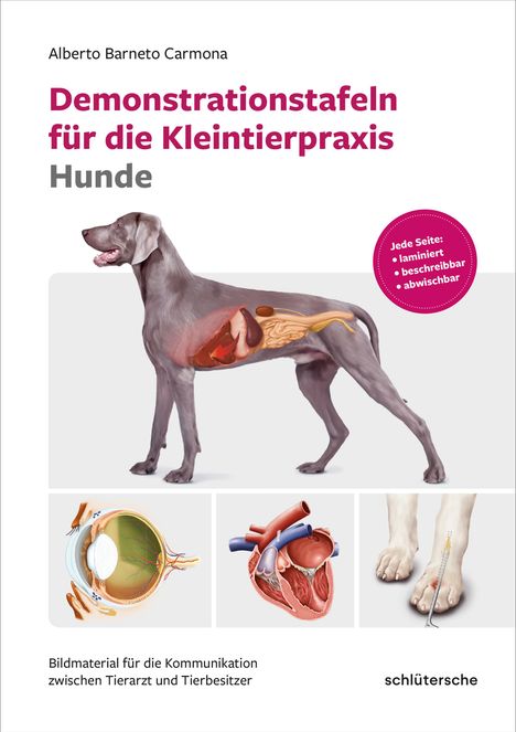 Alberto Berneto Carmona: Demonstrationstafeln für die Kleintierpraxis Hunde, Buch