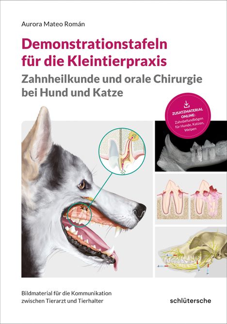 Titel: "Demonstrationstafeln für die Kleintierpraxis". Illustration: Hundekopf, Zahnquerschnitt.