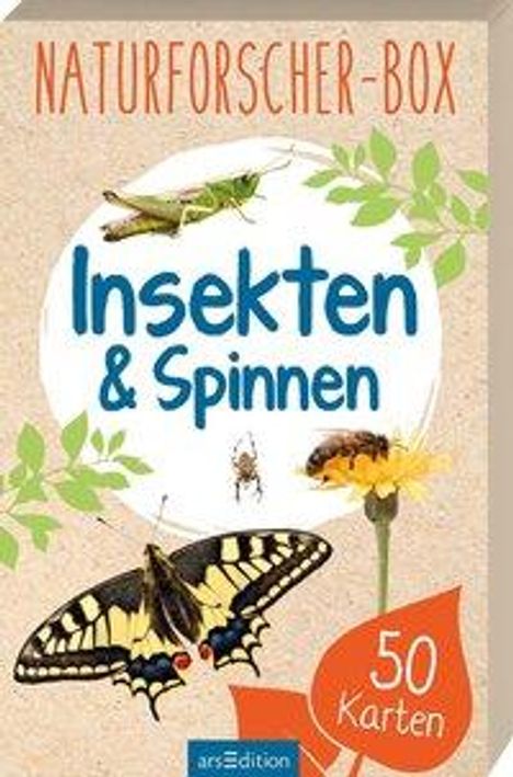 Miriam Scholz: Naturforscher-Box -  Insekten &amp; Spinnen, Buch