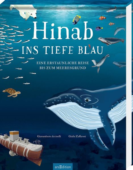 Gianumberto Accinelli: Hinab ins tiefe Blau, Buch