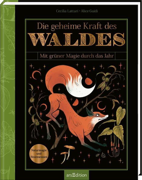 Cecilia Lattari: Die geheime Kraft des Waldes, Buch