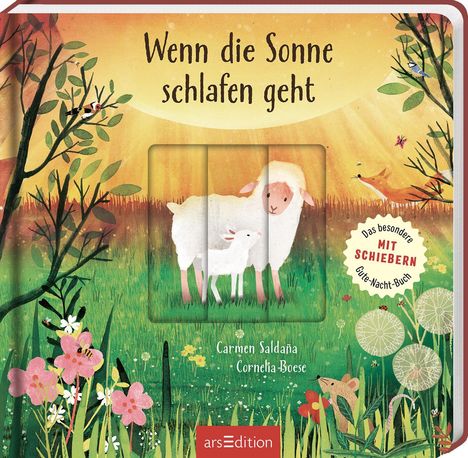 Cornelia Boese: Wenn die Sonne schlafen geht, Buch