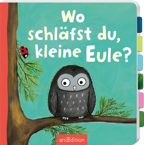 Wo schläfst du, kleine Eule?, Buch