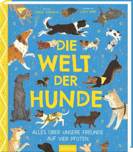 Carlie Sorosiak: Die Welt der Hunde, Buch