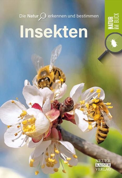 Insekten, Buch