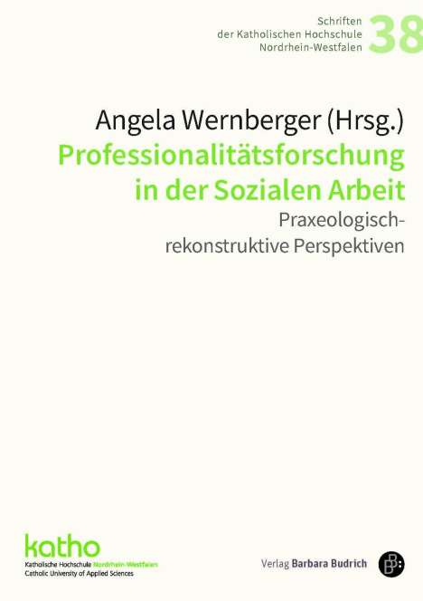 Professionalitätsforschung in der Sozialen Arbeit, Buch
