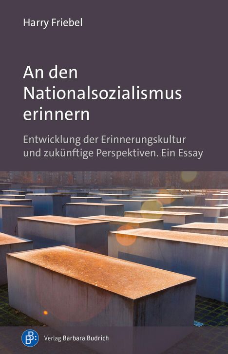 Harry Friebel: An den Nationalsozialismus erinnern, Buch