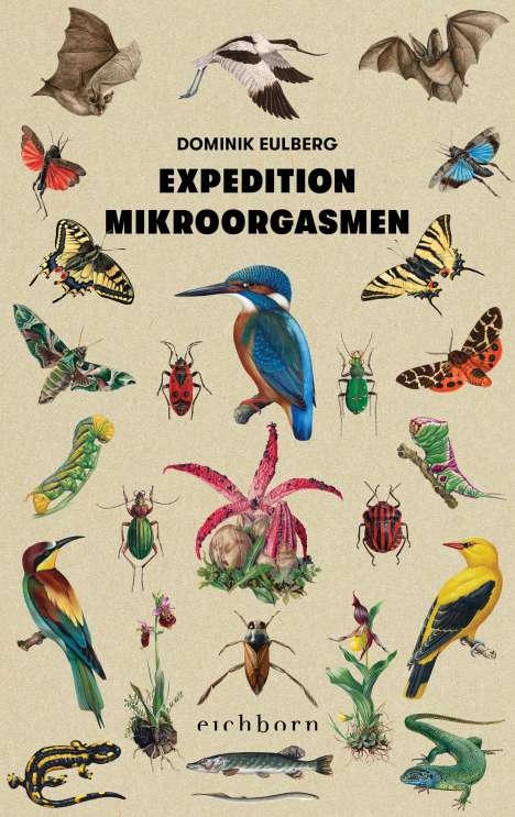 Dominik Eulberg: Expedition Mikroorgasmen, Diverse