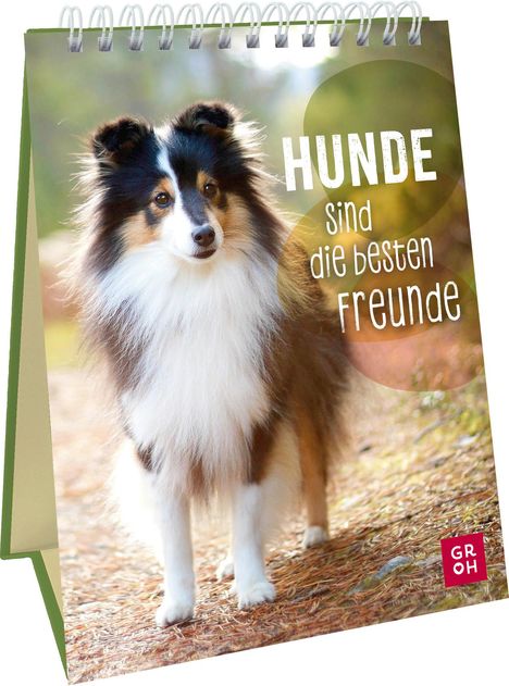 Hunde sind die besten Freunde, Buch