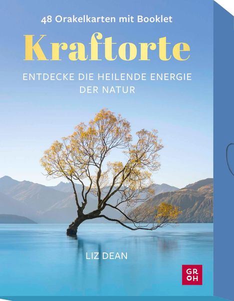 Liz Dean: Kraftorte, Buch