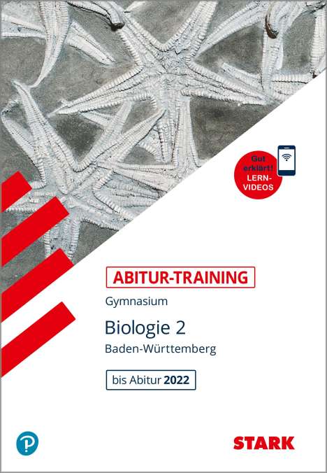 Werner Bils: STARK Abitur-Training - Biologie Band 2 - BaWü, Buch
