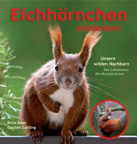 Carsten Cording: Cording, C: Eichhörnchen entdecken!, Buch