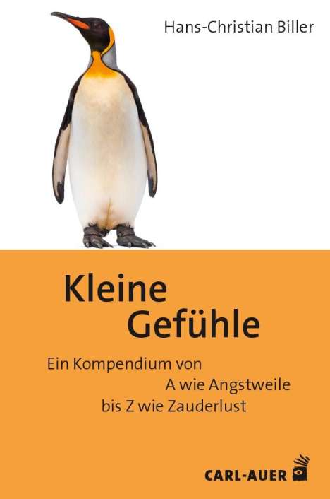 Hans-Christian Biller: Kleine Gefühle, Buch