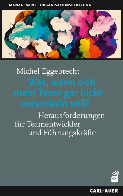 Michel Eggebrecht: Was, wenn sich mein Team gar nicht entwickeln will?, Buch