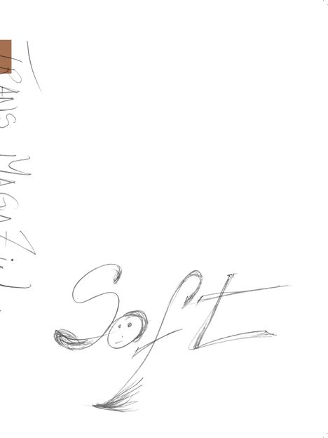 trans 47. Soft, Buch