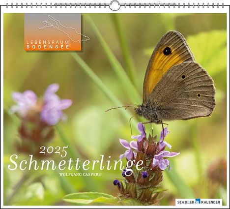 Lebensraum Bodensee - Schmetterlinge 2025, Kalender