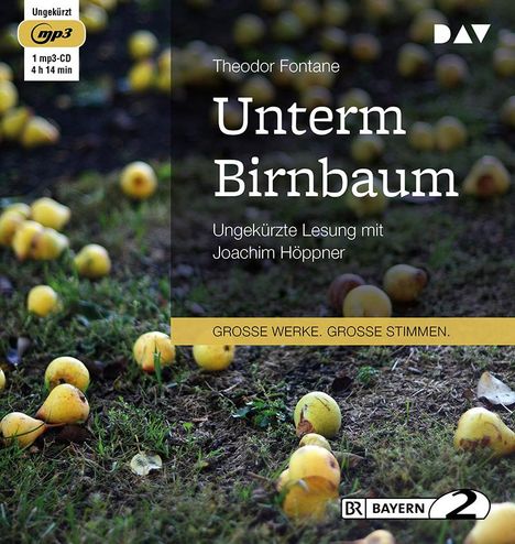 Theodor Fontane: Unterm Birnbaum, LP