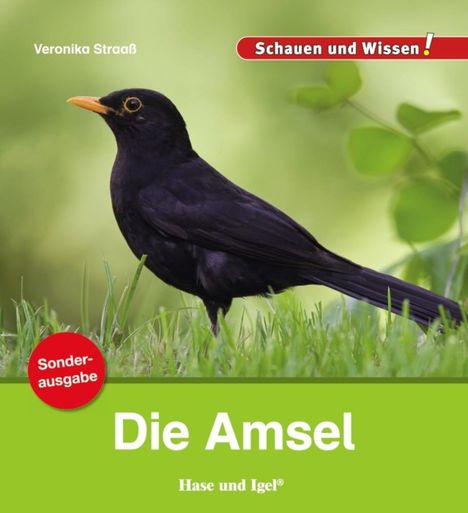 Veronika Straaß: Die Amsel / Sonderausgabe, Buch