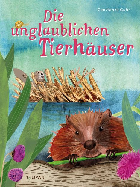 Constanze Guhr: Die unglaublichen Tierhäuser, Buch