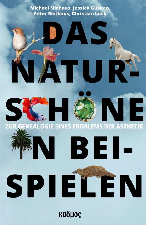 Michael Niehaus: Das Naturschöne in Beispielen, Buch