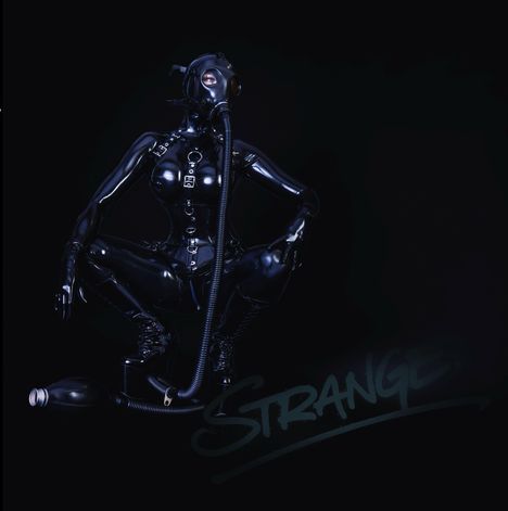 The Agency: Strange, Buch