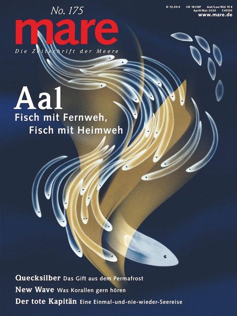 Titel: "Aal, Fisch mit Fernweh, Fisch mit Heimweh". Illustration von Aalen in fließenden, geschwungenen Linien.