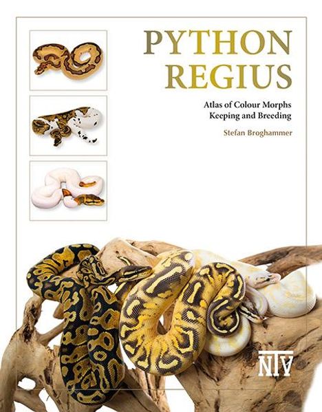 Stefan Broghammer: Python regius, Buch