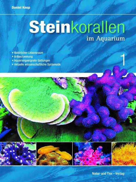Daniel Knop: Steinkorallen im Aquarium - Band 1, Buch