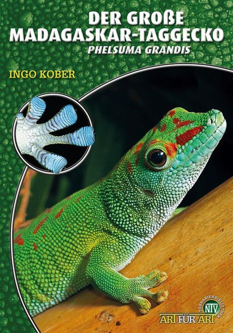 Ingo Kober: Der Große Madagaskar-Taggecko, Buch