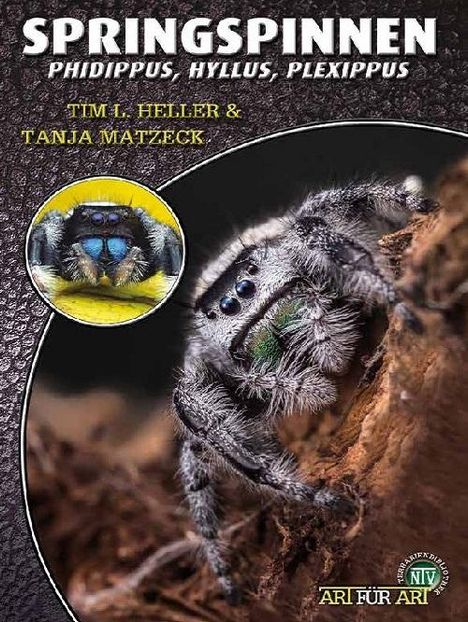 Tim L. Heller: Springspinnen, Buch
