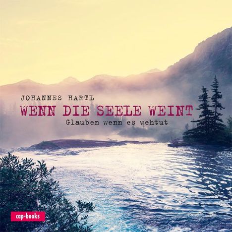 Johannes Hartl: Wenn die Seele weint, Buch